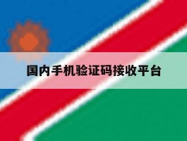 国内手机验证码接收平台