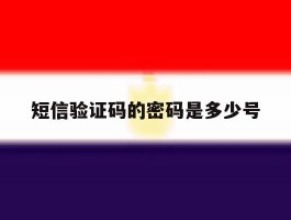 短信验证码的密码是多少号