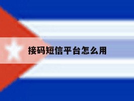 接码短信平台怎么用