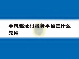 手机验证码服务平台是什么软件