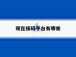 现在接码平台有哪些