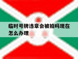 临时号牌违章会被拍吗现在怎么办理