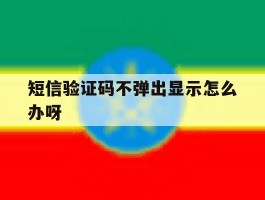 短信验证码不弹出显示怎么办呀