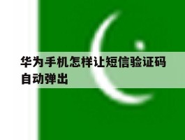 华为手机怎样让短信验证码自动弹出