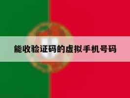 能收验证码的虚拟手机号码