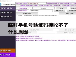 临时手机号验证码接收不了什么原因