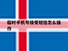 临时手机号接受短信怎么操作