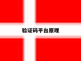验证码平台原理