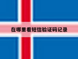 在哪里看短信验证码记录