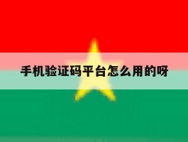 手机验证码平台怎么用的呀