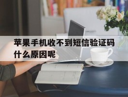 苹果手机收不到短信验证码什么原因呢