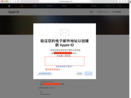 虚拟邮箱接收验证码平台官网下载