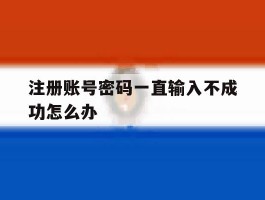 注册账号密码一直输入不成功怎么办