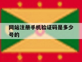 网站注册手机验证码是多少号的