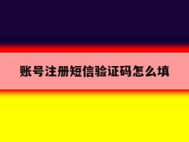 账号注册短信验证码怎么填