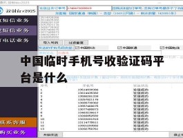 中国临时手机号收验证码平台是什么