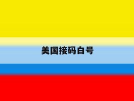 美国接码白号