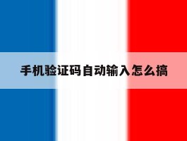 手机验证码自动输入怎么搞