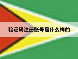 验证码注册账号是什么样的