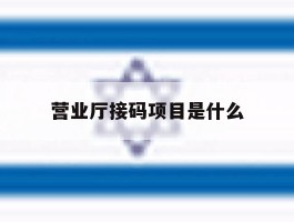 营业厅接码项目是什么