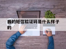 我的短信验证码是什么样子的