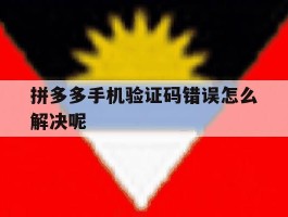 拼多多手机验证码错误怎么解决呢