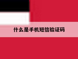什么是手机短信验证码