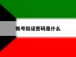 账号验证密码是什么