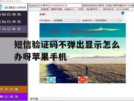 短信验证码不弹出显示怎么办呀苹果手机