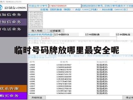 临时号码牌放哪里最安全呢