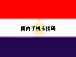 国内手机卡接码
