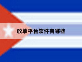 放单平台软件有哪些