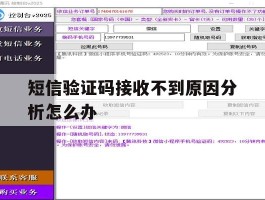 短信验证码接收不到原因分析怎么办