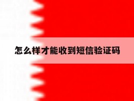 包含怎么样才能收到短信验证码的词条
