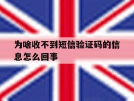 包含为啥收不到短信验证码的信息怎么回事的词条