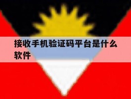 接收手机验证码平台是什么软件