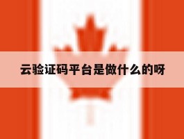 云验证码平台是做什么的呀的简单介绍