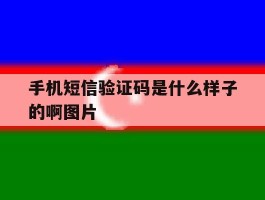 手机短信验证码是什么样子的啊图片