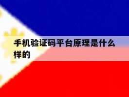 手机验证码平台原理是什么样的