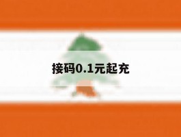 接码0.1元起充