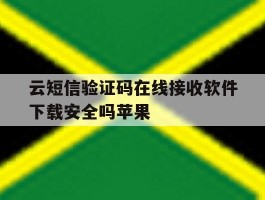 云短信验证码在线接收软件下载安全吗苹果