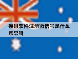 接码软件注册微信号是什么意思呀