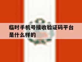 临时手机号接收验证码平台是什么样的