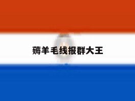 薅羊毛线报群大王