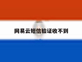 网易云短信验证收不到
