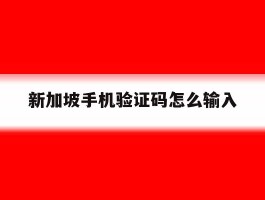 新加坡手机验证码怎么输入