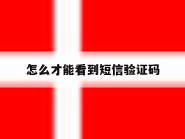 怎么才能看到短信验证码