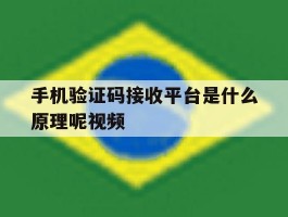 手机验证码接收平台是什么原理呢视频