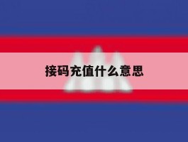接码充值什么意思