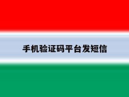 手机验证码平台发短信